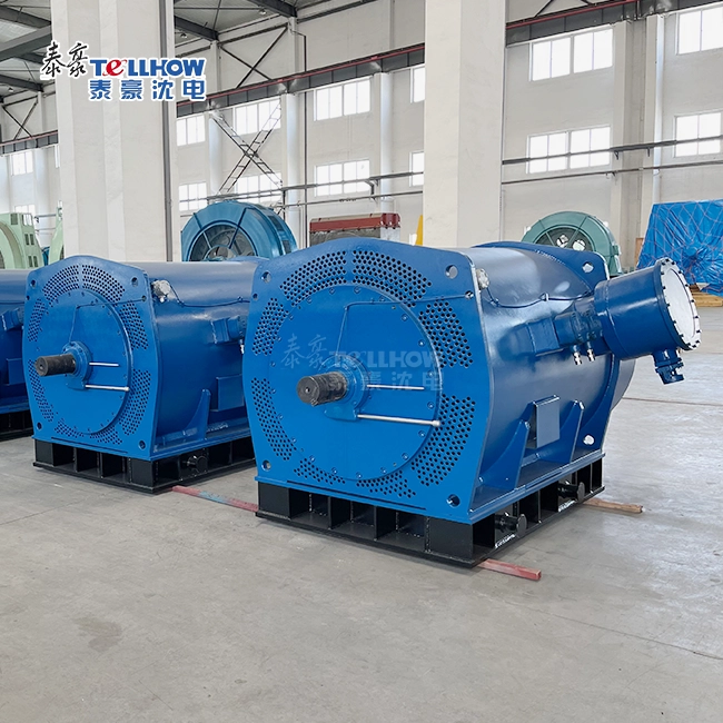 High Voltage Flameproof motor